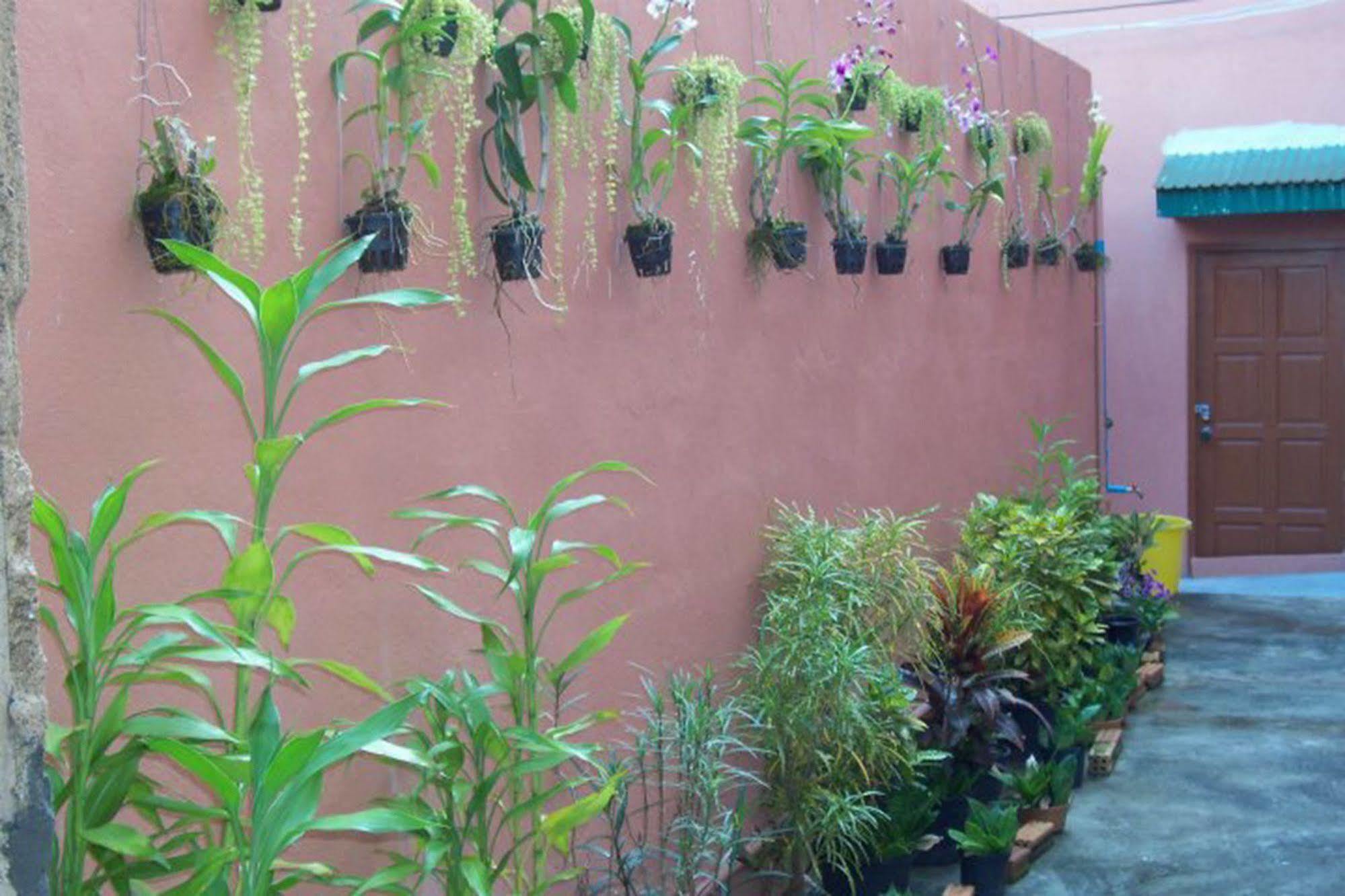 D'S Corner & Guesthouse Phuket Eksteriør bilde